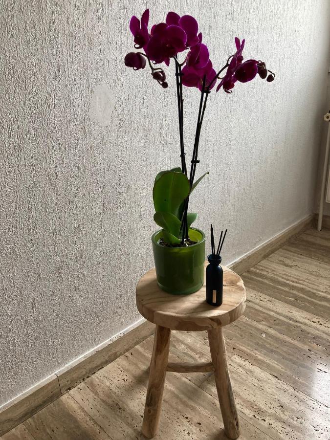 Kontich Rustig Appartement In Het Groen Met Terras מראה חיצוני תמונה